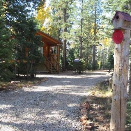 Adventure Awaits 3King Bed,2Bath Log Cabin In Heart Of Duck Creek Village! Buitenkant foto