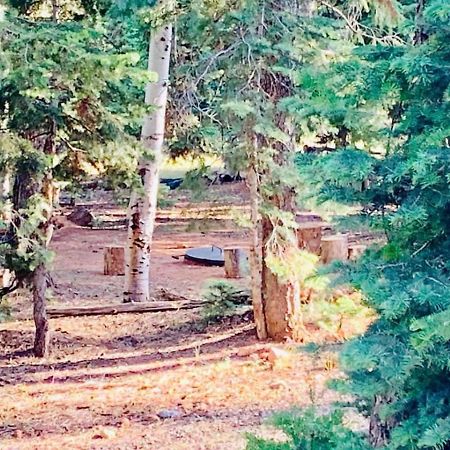 Adventure Awaits 3King Bed,2Bath Log Cabin In Heart Of Duck Creek Village! Buitenkant foto